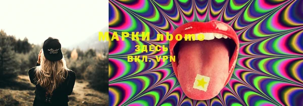 твердый Каменск-Шахтинский