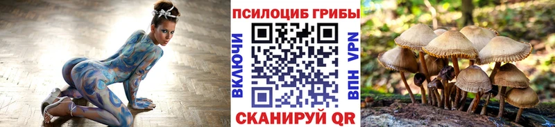 Купить закладки  Назарово  Псилоцибиновые грибы Psilocybe 